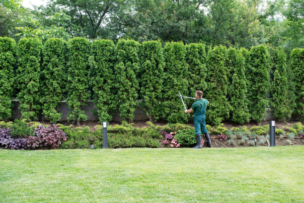Lawn Irrigation Installation and Maintenance in Clinton, IL